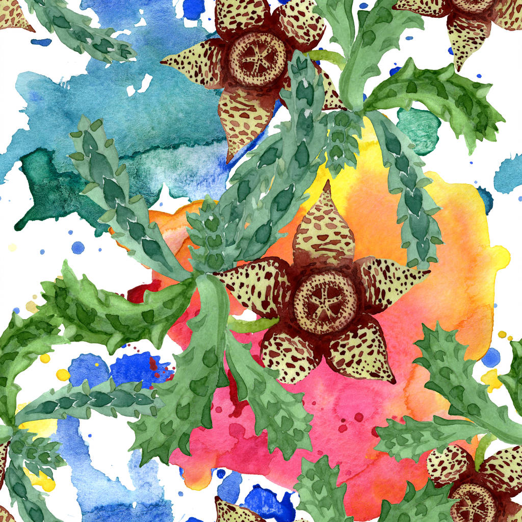 緑のサボテンの花の植物の花。●水彩背景イラストセット。シームレスな背景パターン. - 写真・画像