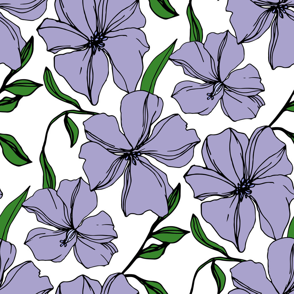 Vector Flax flores botánicas florales. Arte de tinta grabada violeta y verde. Patrón de fondo sin costuras
. - Vector, imagen