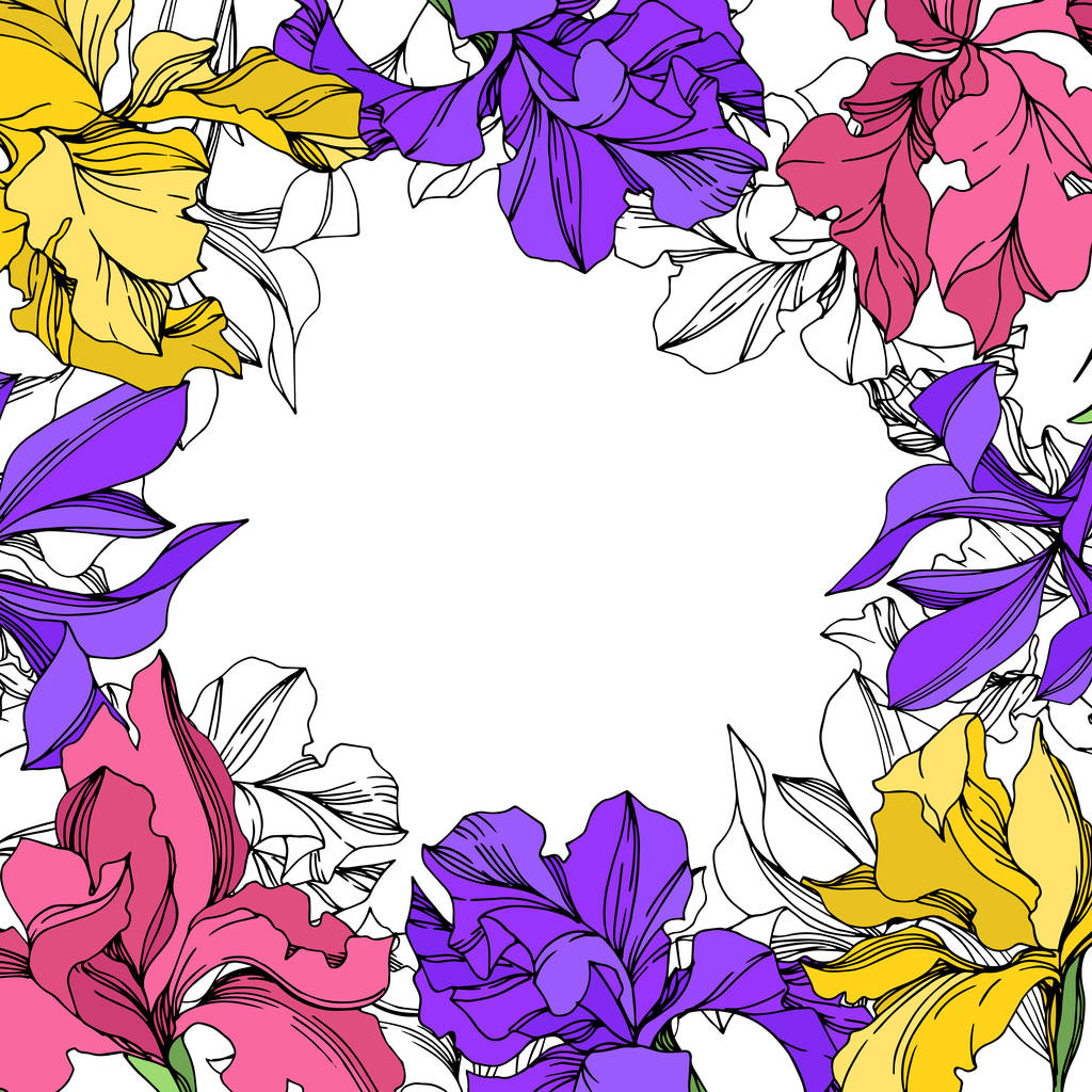 Iris floral botanical flowers. Watercolor background illustration set. Frame border ornament square. - Vector, Image