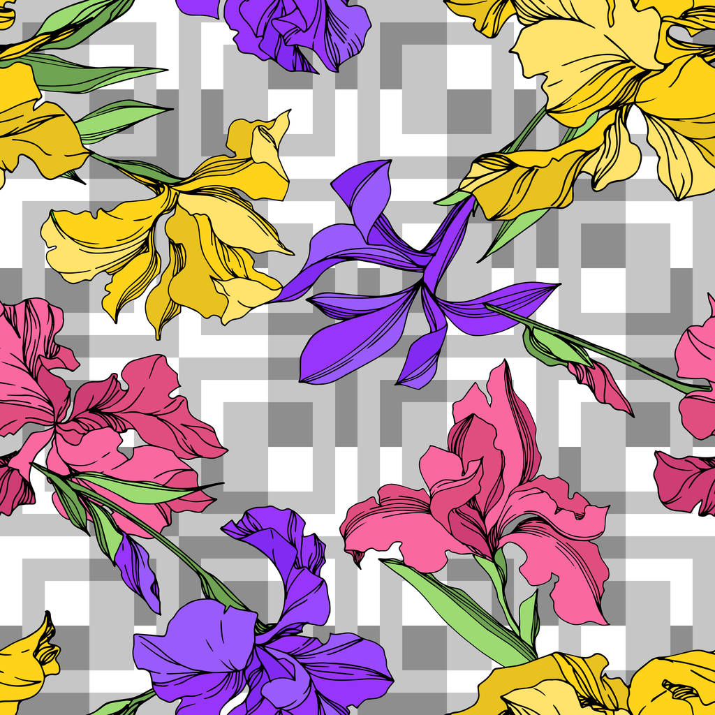 Iris çiçek botanik çiçekleri. Siyah ve beyaz oyulmuş mürekkep sanatı. Kesintisiz arka plan deseni. - Vektör, Görsel