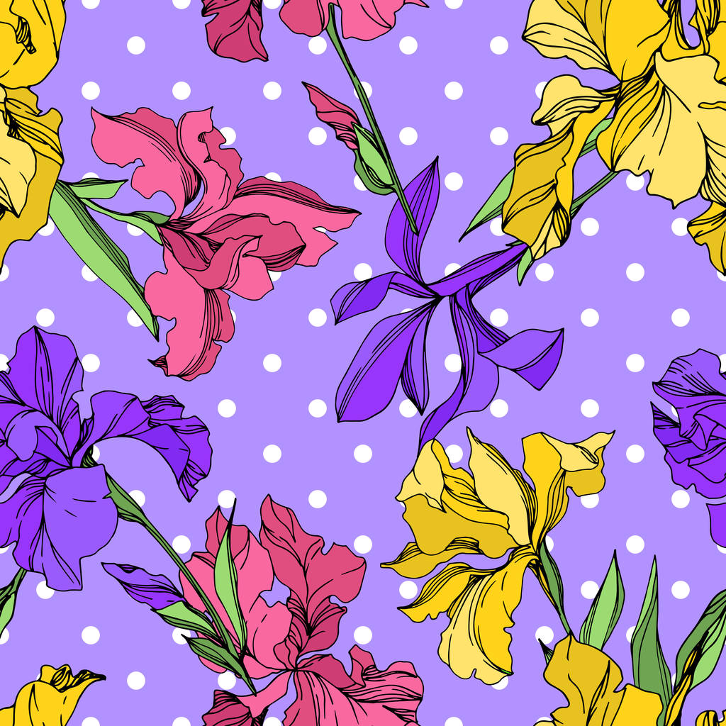 Iris flores botánicas florales. Tinta grabada en blanco y negro. Patrón de fondo sin costuras
. - Vector, imagen