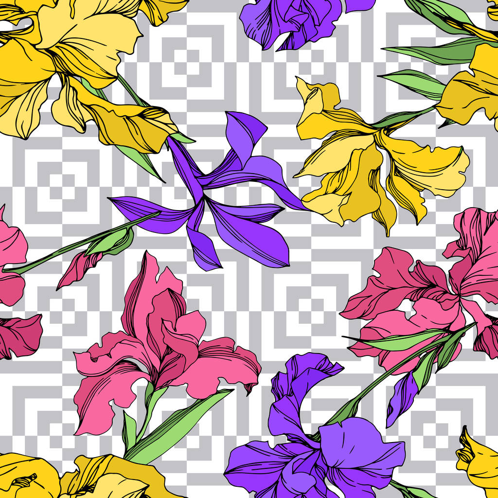 Iris květinové botanické květiny. Černé a bílé ryté inkoustem. Bezespání vzorek pozadí. - Vektor, obrázek