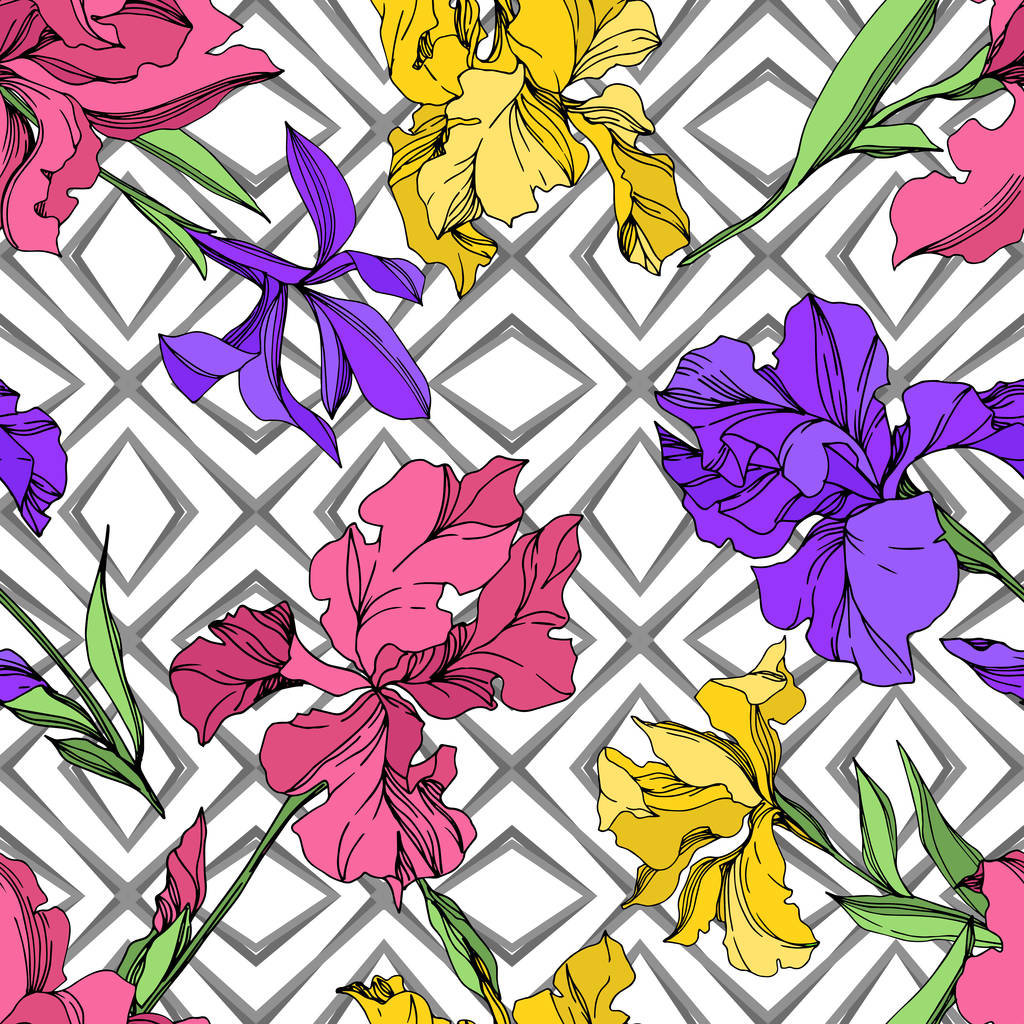 Iris fleurs botaniques florales. Encre gravée en noir et blanc. Modèle de fond sans couture
. - Vecteur, image