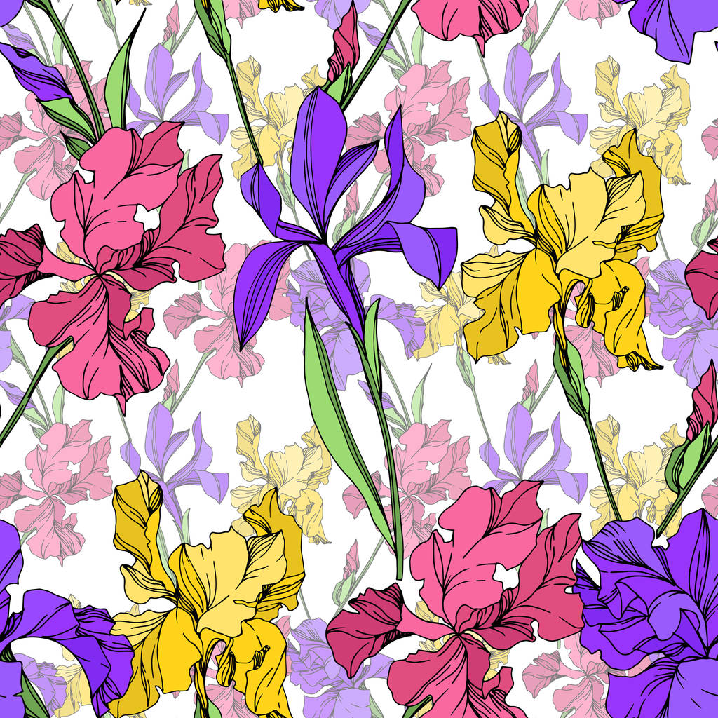 Iris bloemen botanische bloemen. Zwart-wit gegraveerd Ink Art. Naadloos achtergrond patroon. - Vector, afbeelding