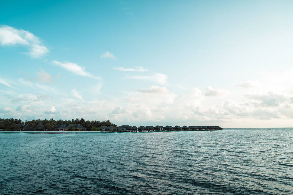 Maldives île avec océan
 - Photo, image