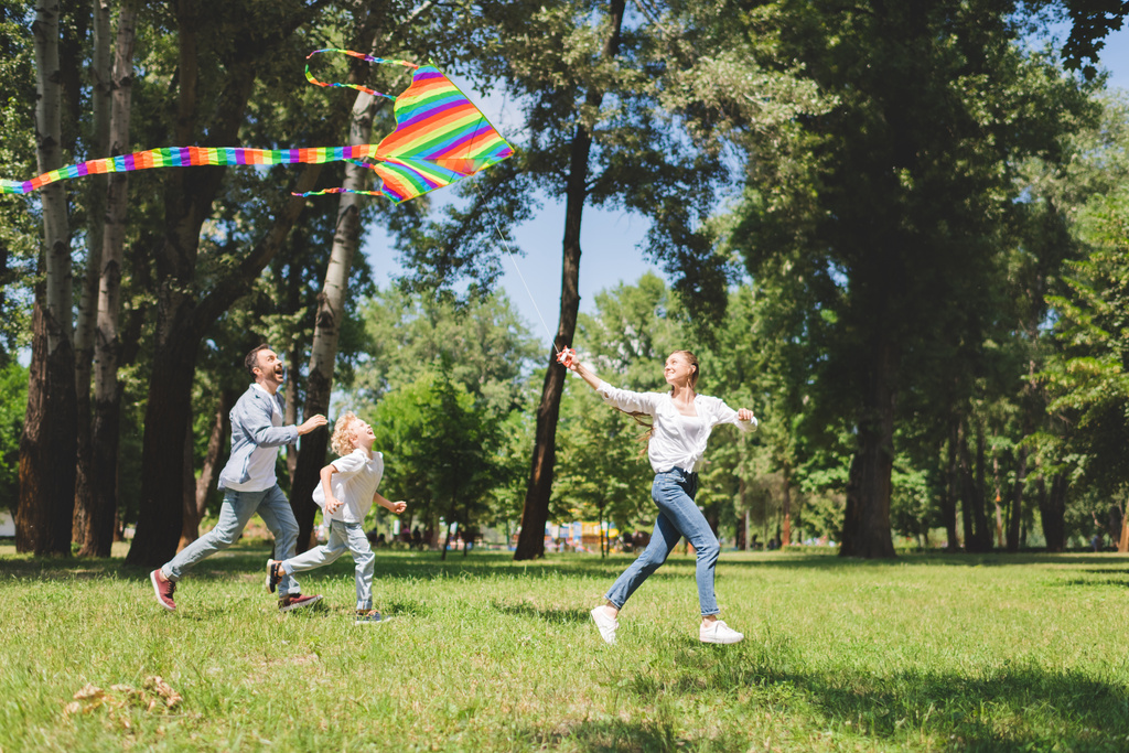 щаслива сім'я бігає і грає з барвистим літаючим змієм в парку
 - Фото, зображення