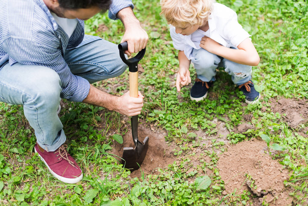 bijgesneden beeld van vader graven grond met schop in de buurt van zoon voor het planten van zaailing in Park - Foto, afbeelding