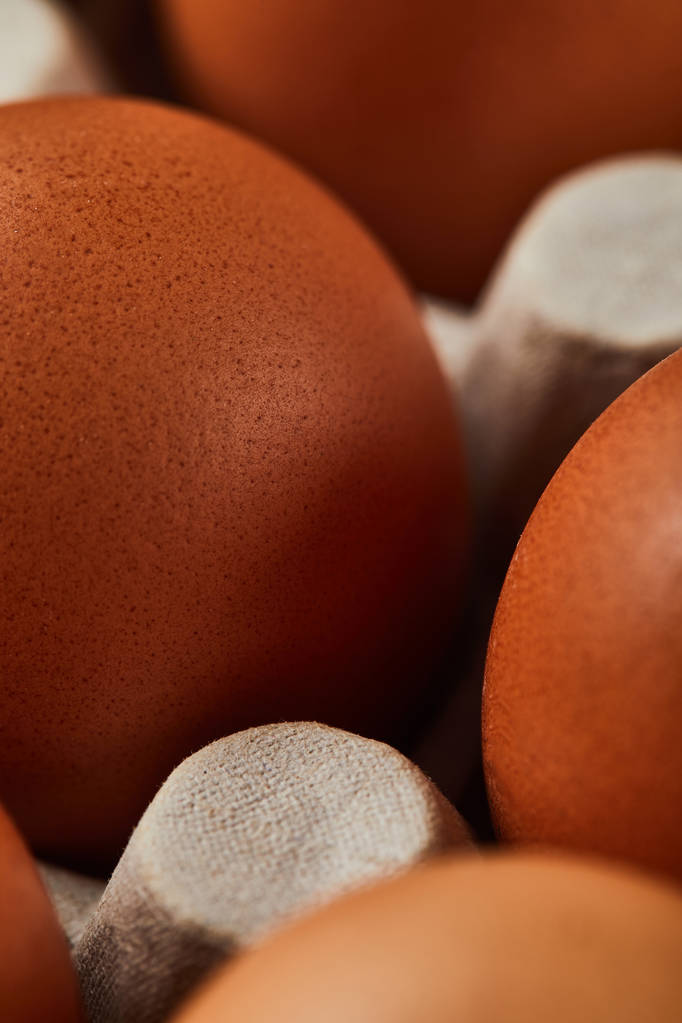 close up view of chicken eggs in carton box - Photo, Image