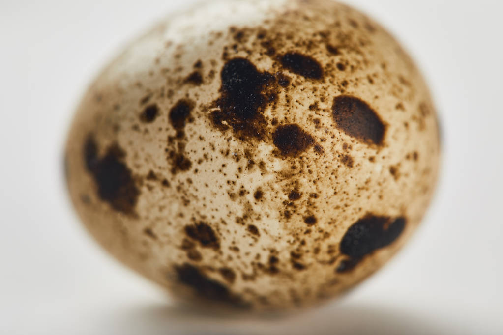 foyer sélectif de l'œuf de caille sur la surface blanche
 - Photo, image