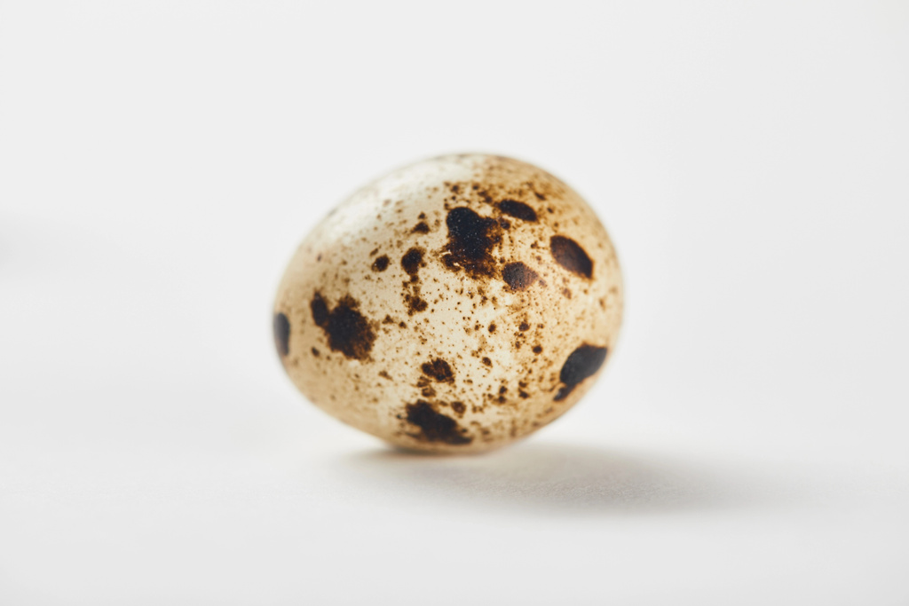 jedno małe jajko przepiórcze na białej powierzchni - Zdjęcie, obraz