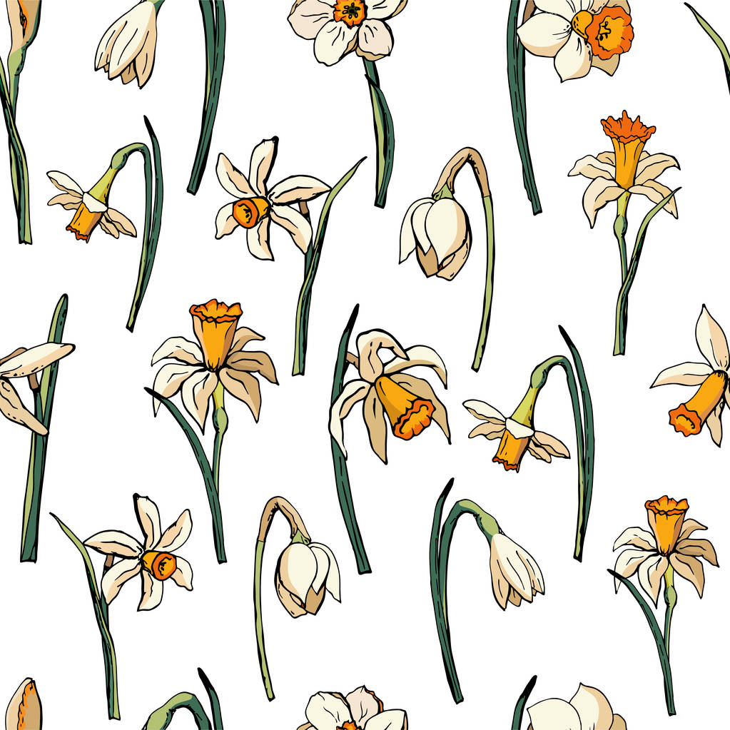 Διάνυσμα floral απεικόνιση Γουίτ νάρκισσος - Διάνυσμα, εικόνα
