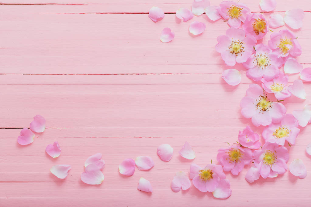 Rahmen aus rosa Rosen auf rosa Holzgrund - Foto, Bild