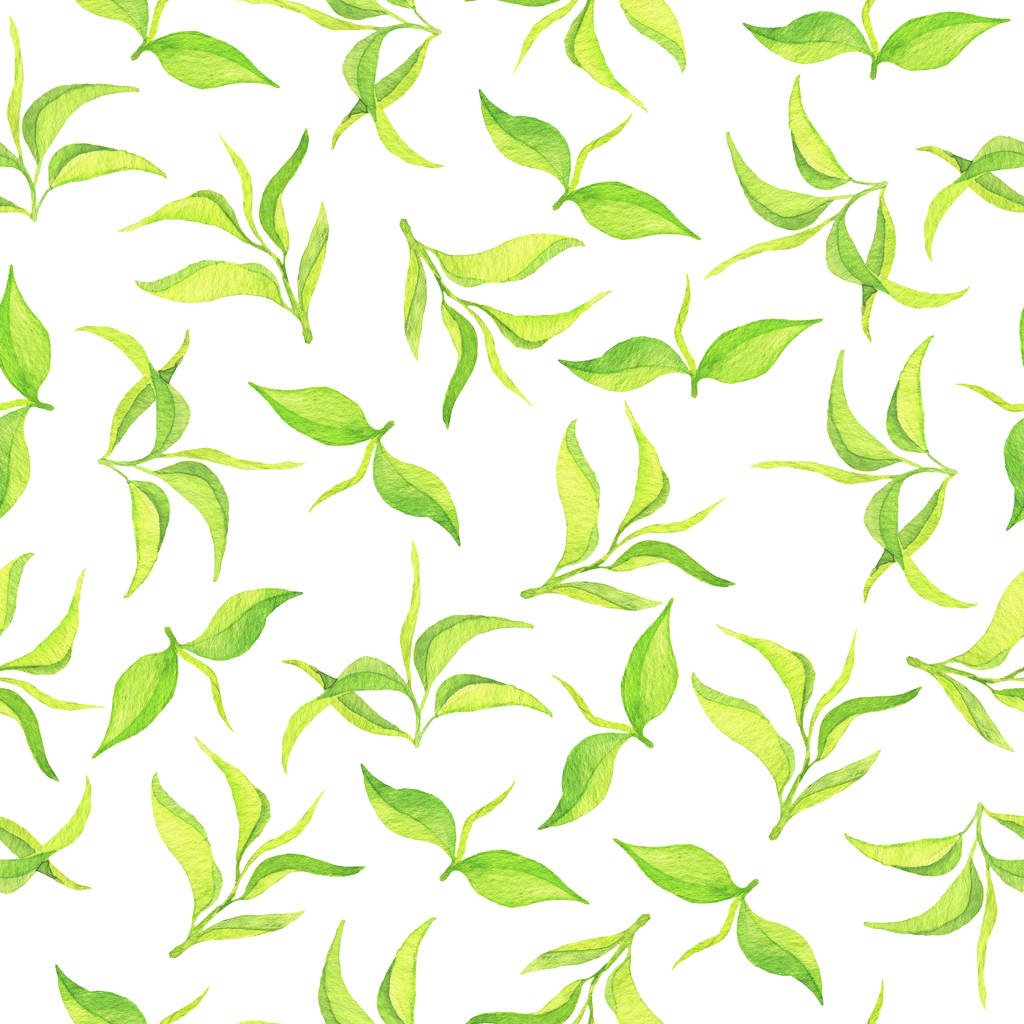 close up vista de folhas verdes ilustração no fundo branco
 - Foto, Imagem