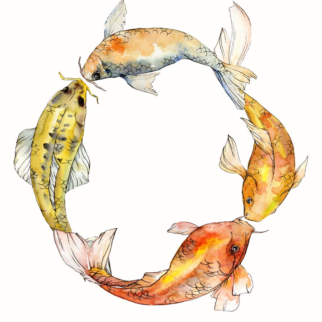 Watercolor aquatic underwater tropical fish set. Red sea and exotic fishes inside: Goldfish. Frame border square. - Photo, Image