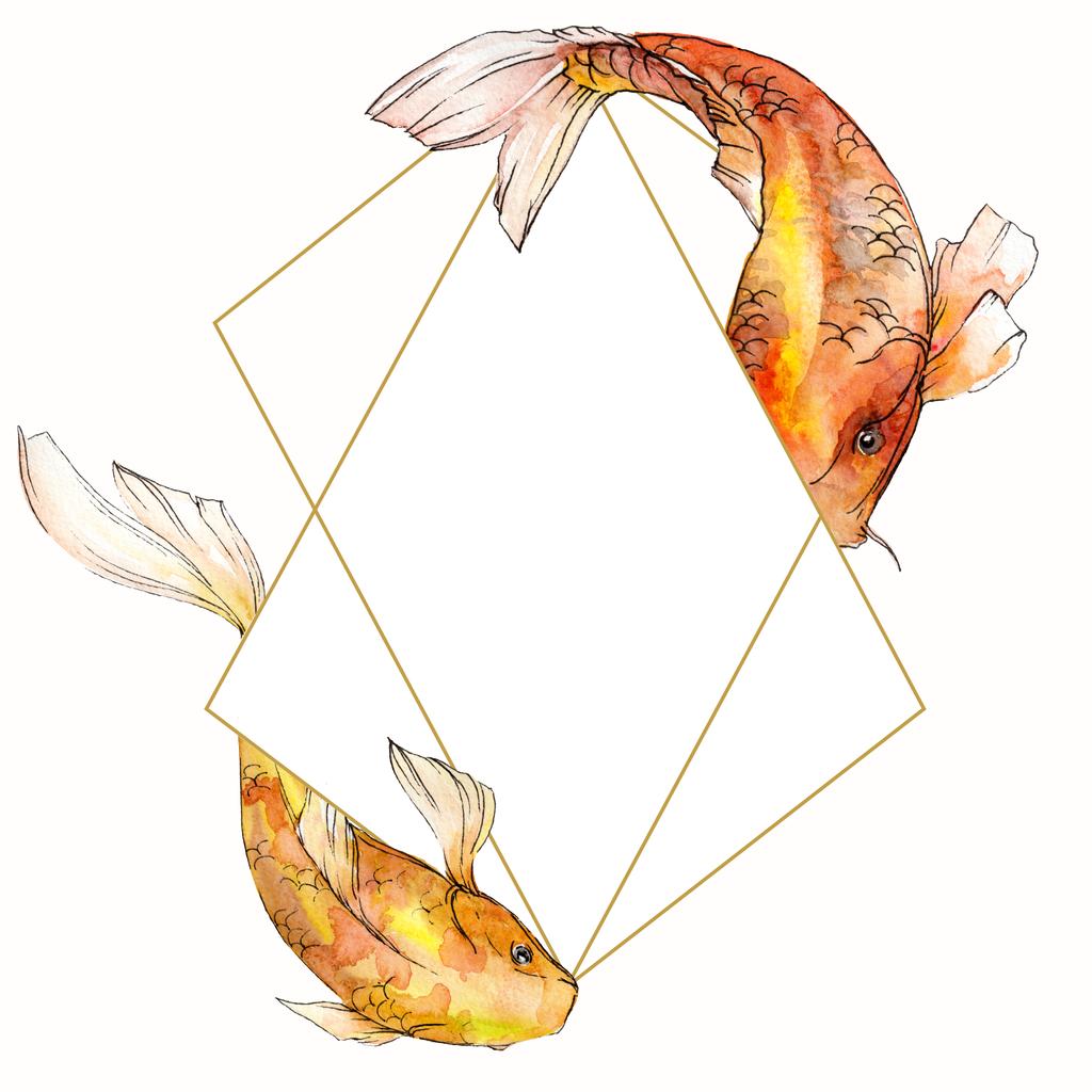 Aquarell aquatische Unterwasser-tropische Fische Set. Rotes Meer und exotische Fische darin: Goldfische. Rahmenrandquadrat. - Foto, Bild