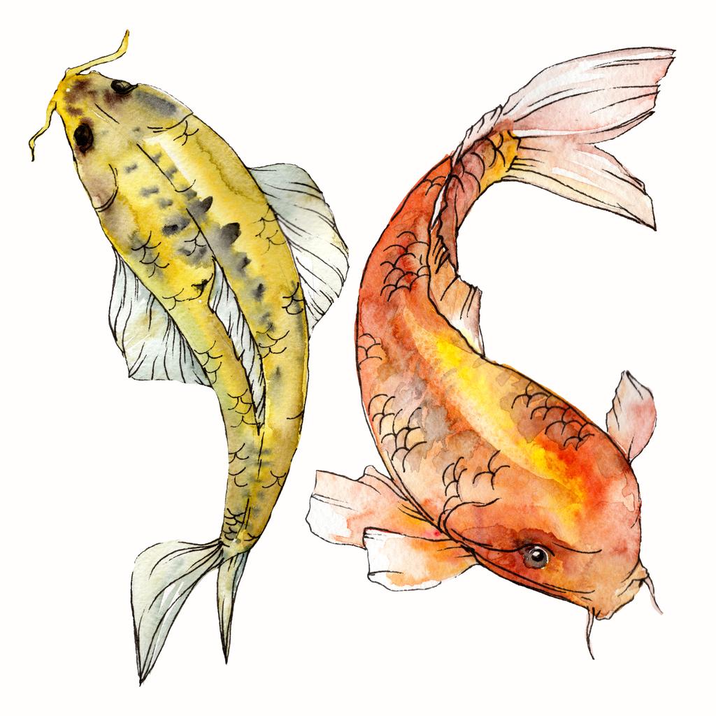Aquarela aquática subaquática colorido conjunto de peixes tropicais. Mar vermelho e peixes exóticos no interior: Goldfish Isolado
. - Foto, Imagem