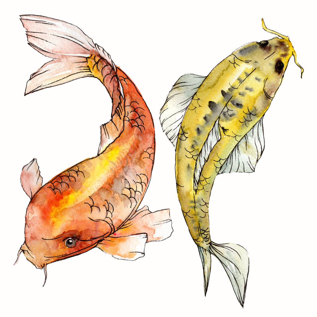 Akvarel vodních živočichů pestrý tropický rybec. Červené moře a exotické ryby uvnitř: Goldfish izolovaný. - Fotografie, Obrázek