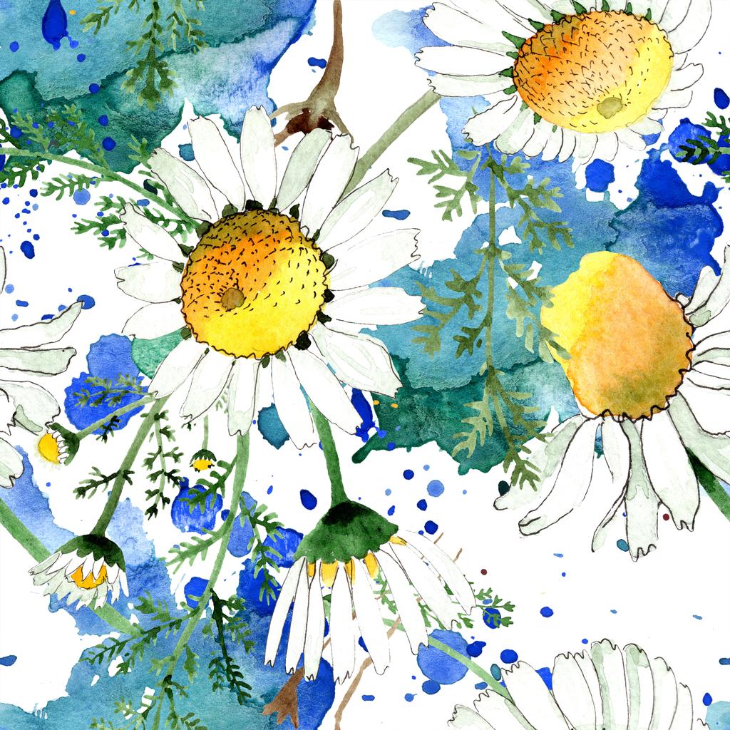Kamille bloemen botanische bloem. Wild Spring blad geïsoleerd. Aquarel illustratie set. Aquarel tekening mode Aquarelle. Naadloos achtergrond patroon. Stof wallpaper print textuur. - Foto, afbeelding