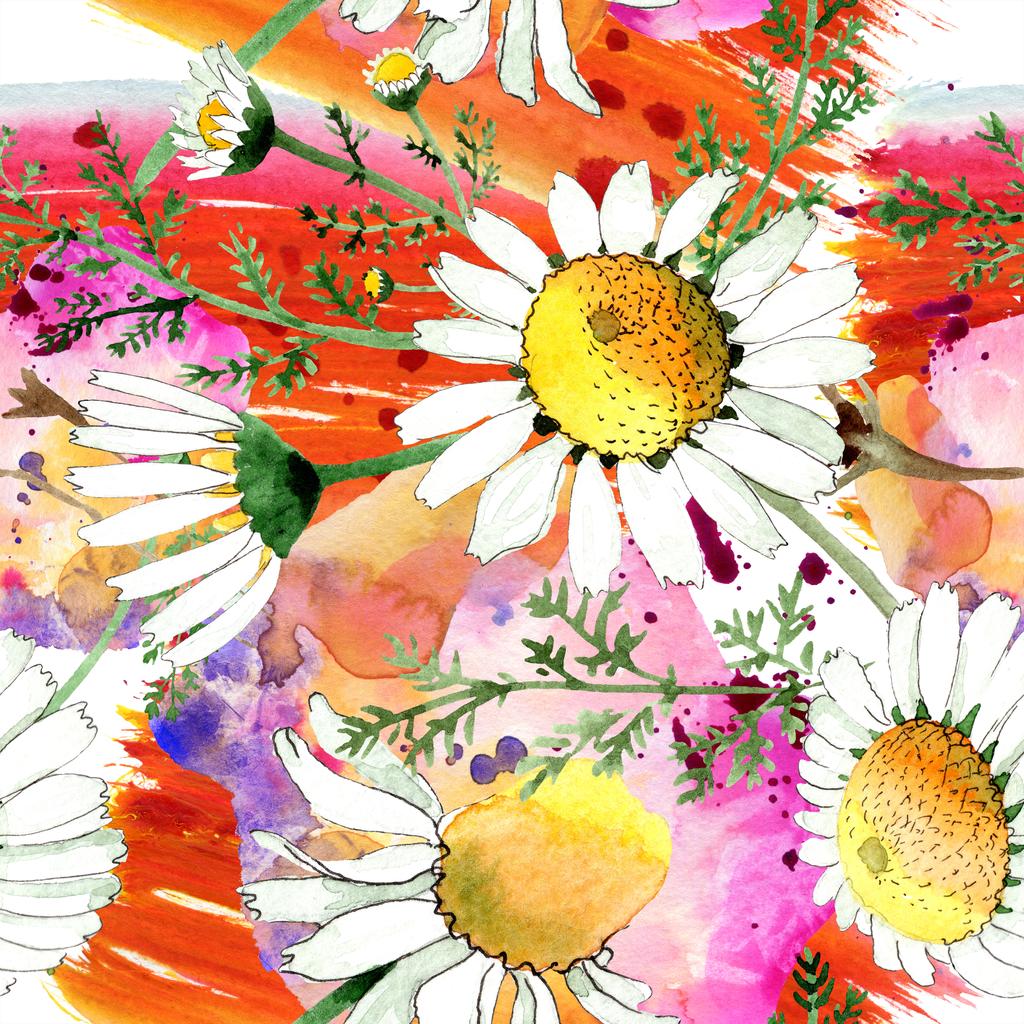 カモミール花植物の花 野生の春の葉が孤立した 水彩イラストセット 水彩画ファッションアクアレル シームレスな背景パターン ファブリック壁紙プリントテクスチャ ロイヤリティフリー写真 画像素材