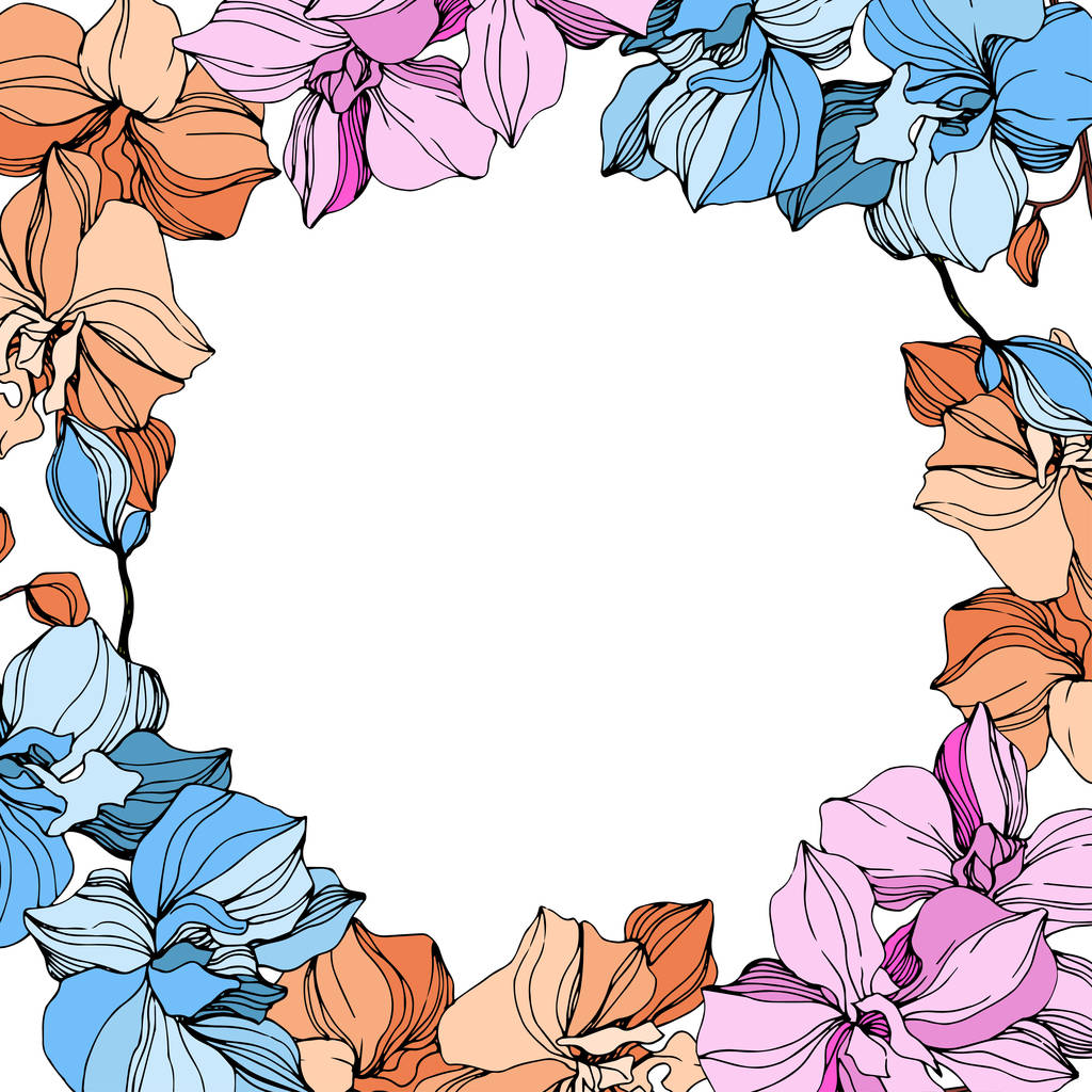 Vector roze, oranje en blauwe orchidee. Floral botanische bloem. Gegraveerde inkt kunst. Frame rand ornament vierkant. - Vector, afbeelding