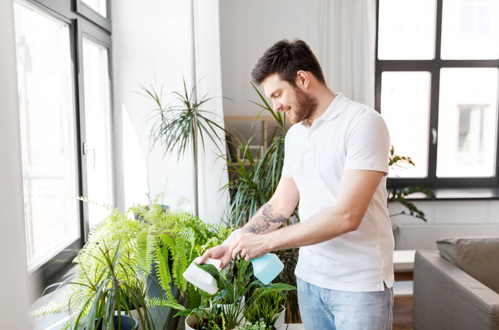 férfi permetezés szobanövények vízzel otthon - Fotó, kép