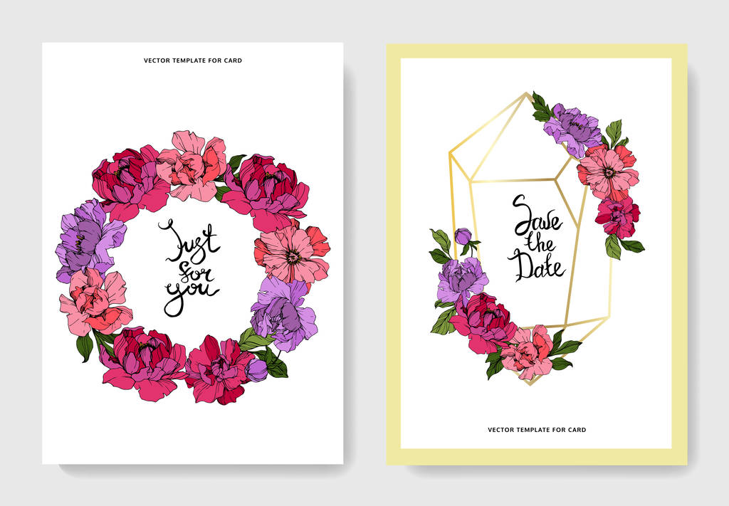 Vektor lila és rózsaszín pünkösdi rózsa. Gravírozott tinta művészet. Esküvői háttérkártya. Köszönöm, RSVP, meghívás kártya. - Vektor, kép