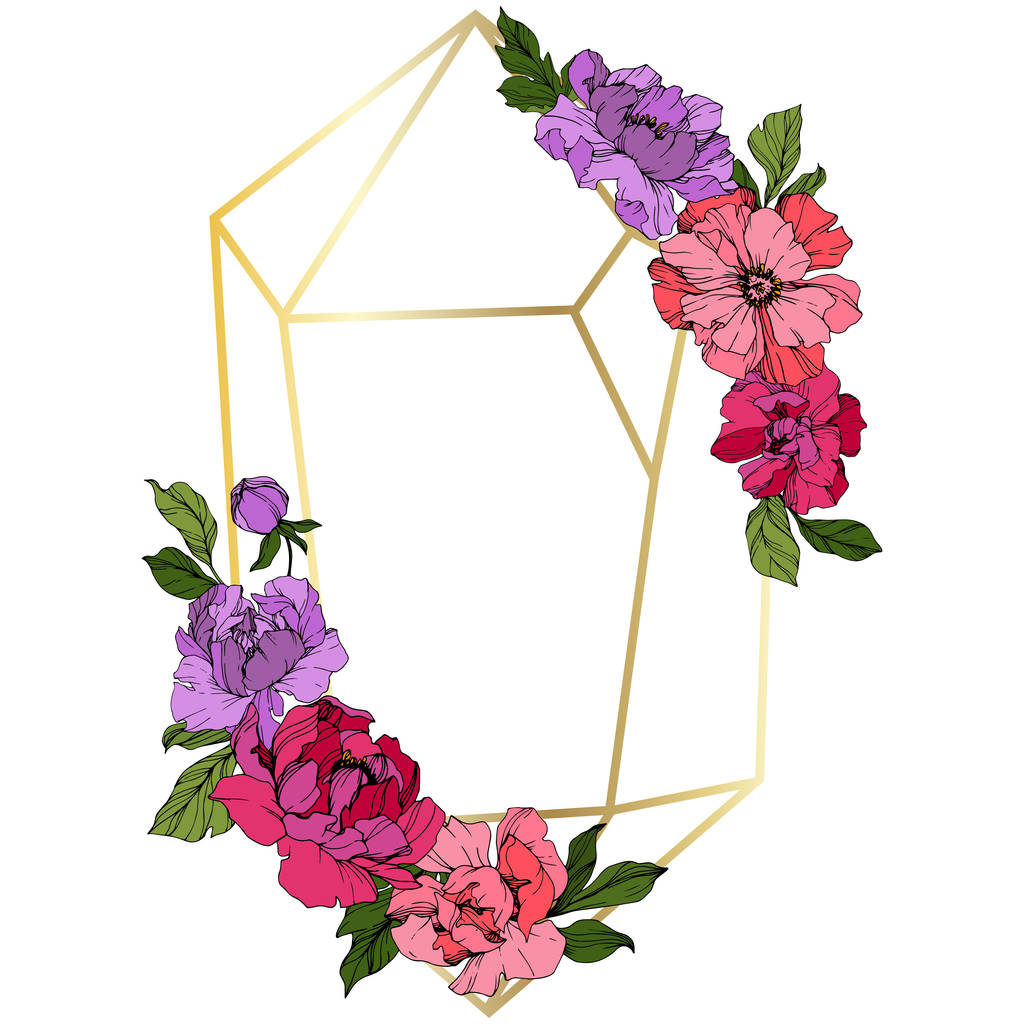 Vecteur Pivoine rose et violette. Fleur botanique florale. Encre gravée. Cadre bordure ornement carré
. - Vecteur, image