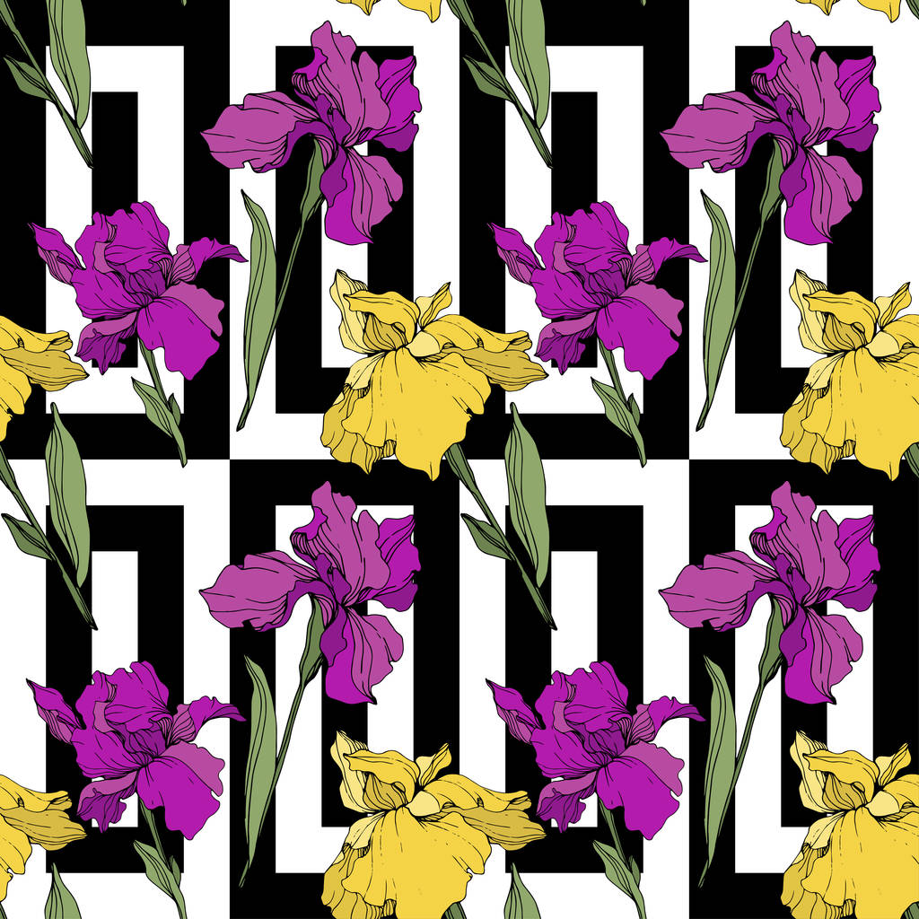 Vector Iris púrpura, amarillo y azul. Flor botánica floral. Flor silvestre de hoja de primavera aislada. Arte de tinta grabada. Patrón de fondo sin costuras. Textura de impresión de papel pintado de tela
. - Vector, imagen