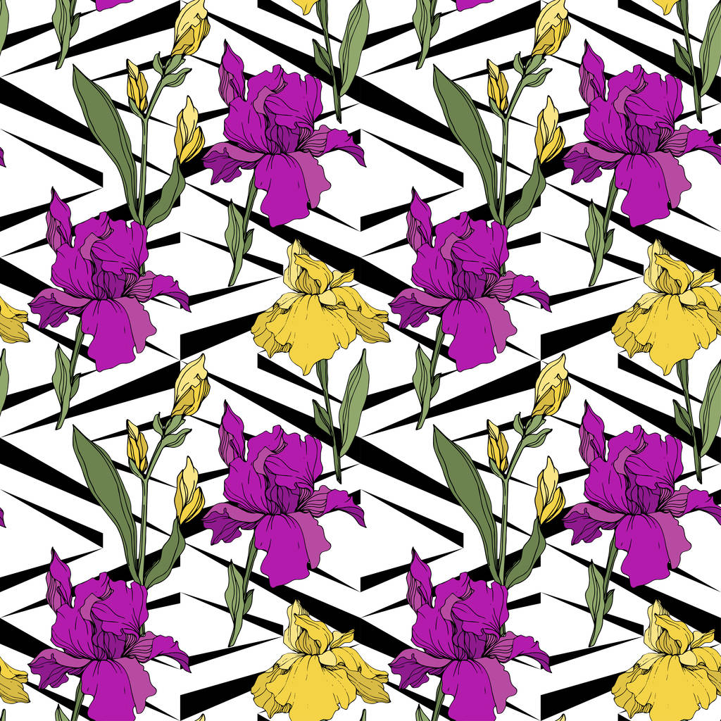 Vector Iris púrpura, amarillo y azul. Flor botánica floral. Flor silvestre de hoja de primavera aislada. Arte de tinta grabada. Patrón de fondo sin costuras. Textura de impresión de papel pintado de tela
. - Vector, imagen