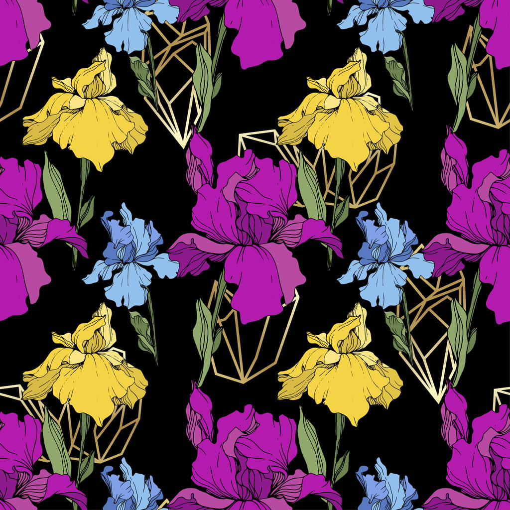 Vector Iris púrpura, amarillo y azul. Flor botánica floral. Flor silvestre de hoja de primavera aislada. Arte de tinta grabada. Patrón de fondo sin costuras. Textura de impresión de papel pintado de tela
. - Vector, Imagen