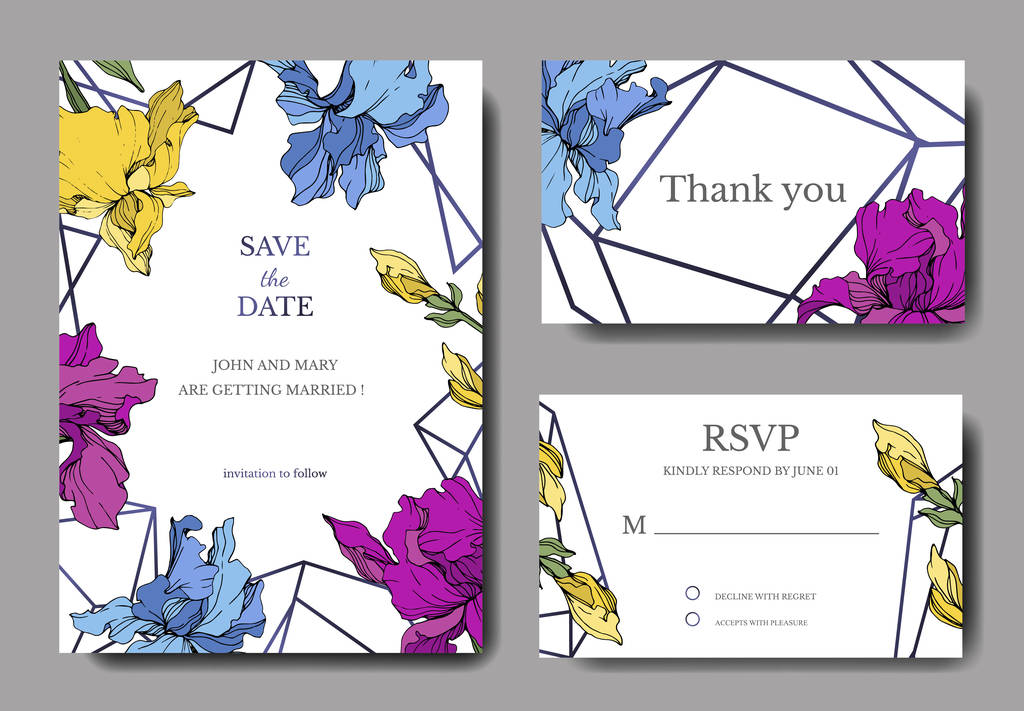 ベクトルブルー、紫、黄色の虹彩植物の花。インクアートを彫刻。結婚式の背景カード花の装飾的な境界線。ありがとう、rsvp、招待エレガントなカードイラストグラフィックセットバナー. - ベクター画像
