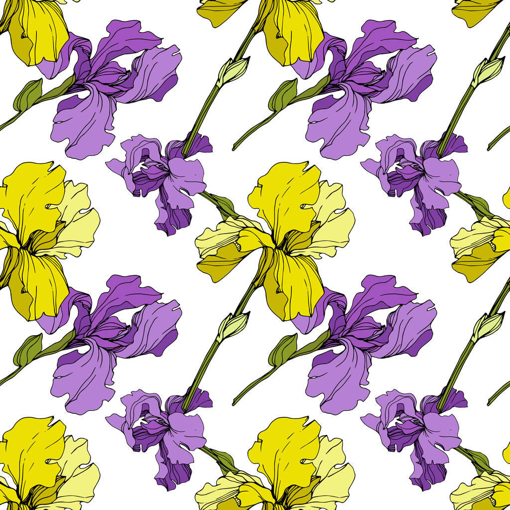 Vector Iris virágos botanikus virág. Folytonos háttérmintázat. Szövet tapéta nyomtatási textúra. - Vektor, kép