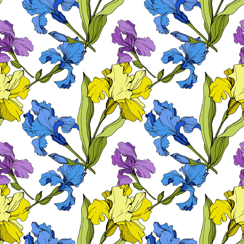 Vektör Iris çiçek botanik çiçek. Kusursuz arka plan deseni. Kumaş duvar kağıdı baskı doku. - Vektör, Görsel