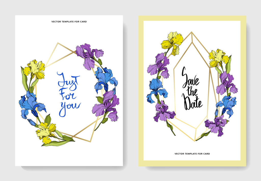 Vector wedding invitation cards with irises and lettering - Vector, Image