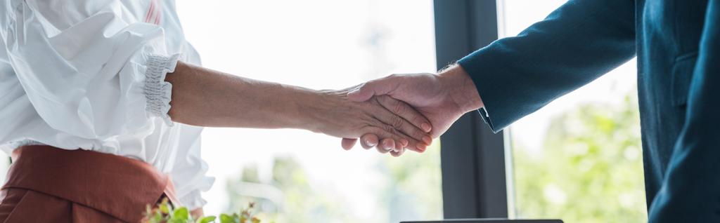 panoramic shot of employee and recruiter shaking hands  - Photo, Image