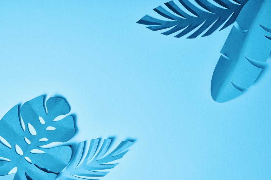 επάνω όψη του μπλε χαρτιού κομμένα φύλλα παλάμης σε μπλε φόντο με χώρο αντιγραφής - Φωτογραφία, εικόνα