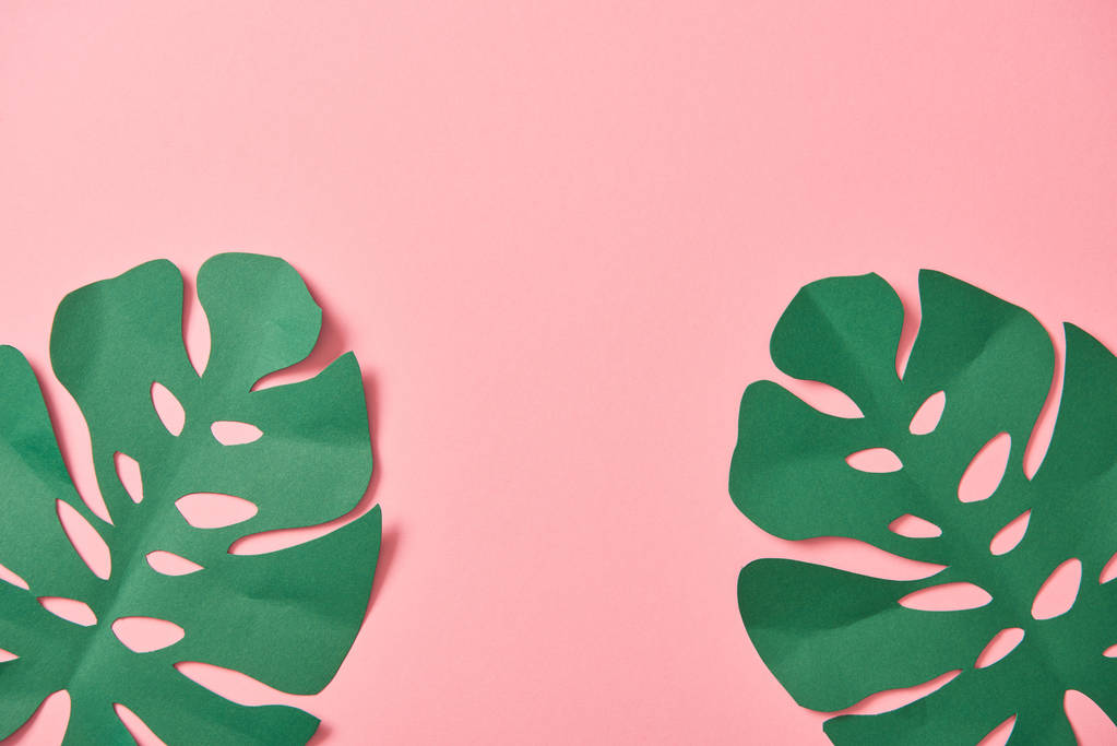 вид сверху на зеленые пальмовые листья на розовом фоне с копировальным местом
 - Фото, изображение
