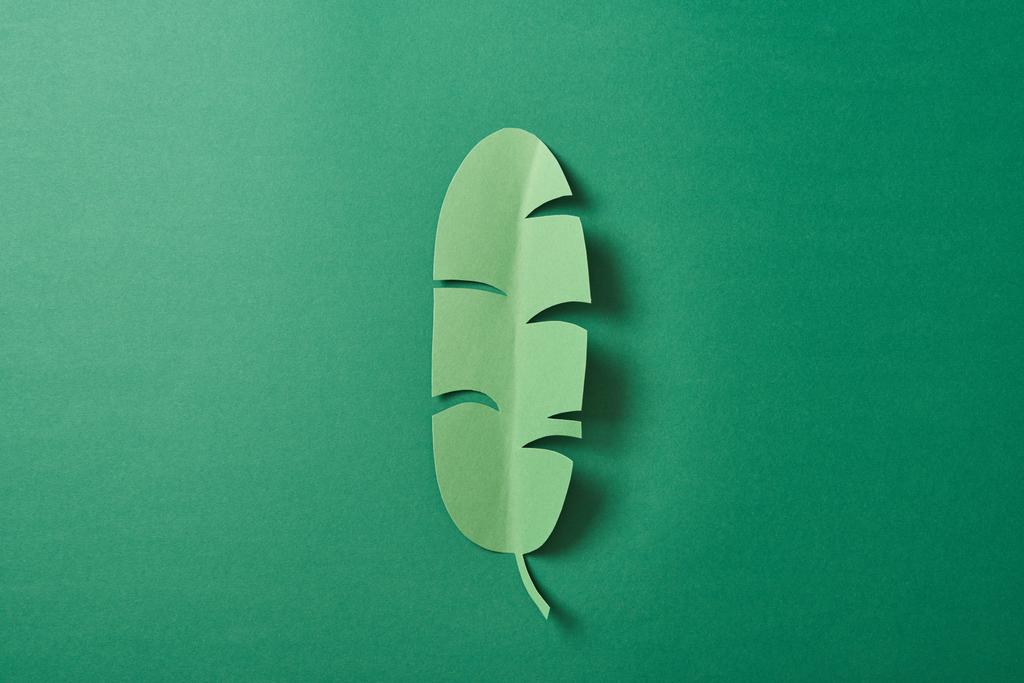 верхний вид тропической бумаги срезать пальмовый лист на зеленом фоне с копировальным местом
 - Фото, изображение