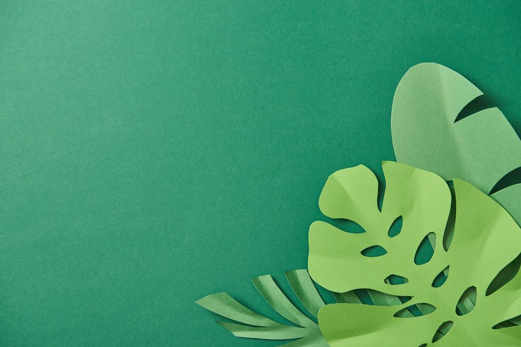 Κορυφαία θέα του εξωτικά χαρτί κομμένα φύλλα παλάμης σε πράσινο φόντο με χώρο αντιγραφής - Φωτογραφία, εικόνα