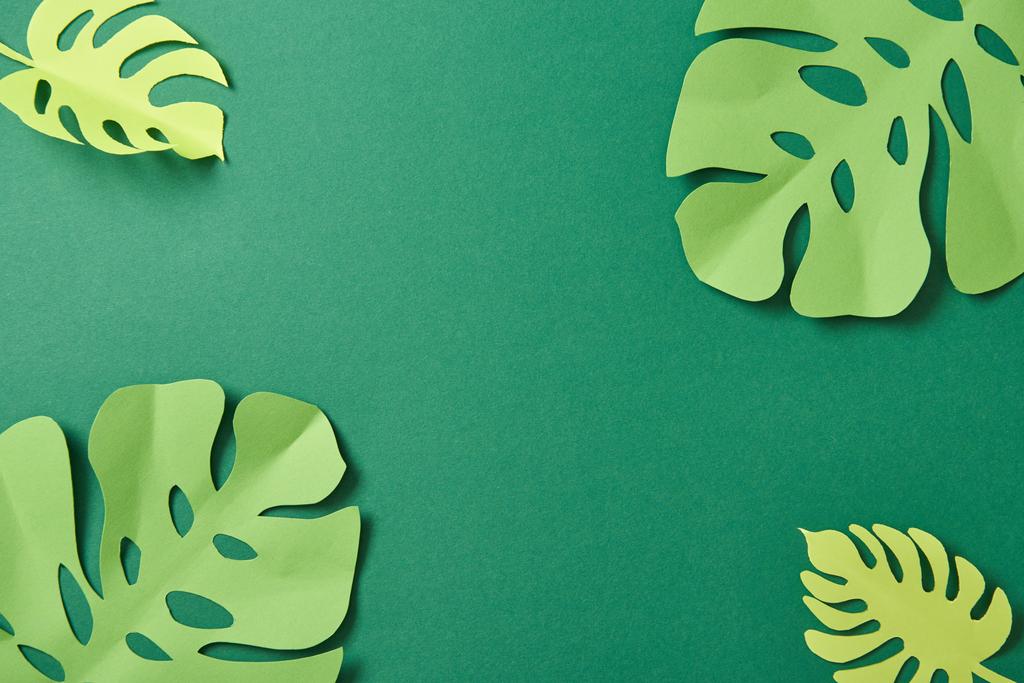 vista superior de hojas de palma cortadas de papel exótico sobre fondo verde con espacio para copiar
 - Foto, imagen