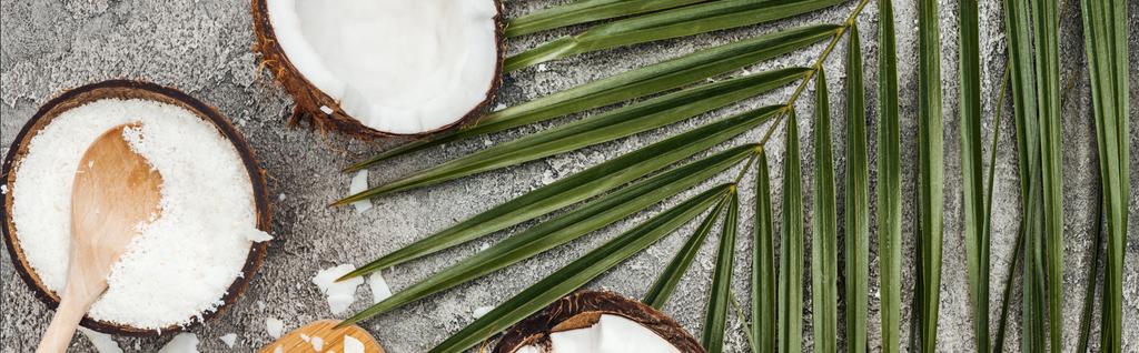 Draufsicht auf Kokosraspeln mit Holzlöffel auf grauem strukturiertem Hintergrund mit Palmblatt und Kokosnüssen, Panoramaaufnahme - Foto, Bild