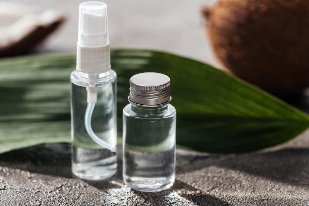 foco seletivo de garrafas com água de coco perto da folha de palma em fundo texturizado cinza
 - Foto, Imagem