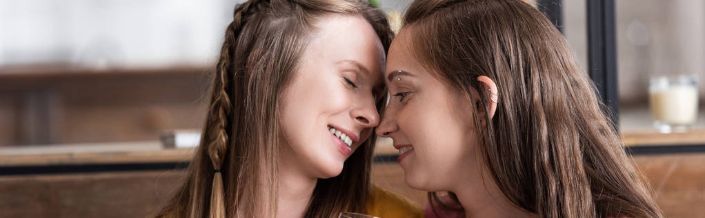 panoramatický záběr dvou usmívající se lesbičky v obývacím pokoji - Fotografie, Obrázek