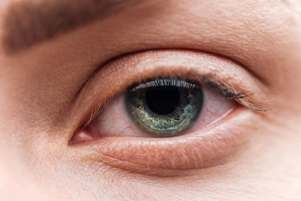 közeli kilátás a fiatal nő zöld szeme szempillák és szemöldök - Fotó, kép