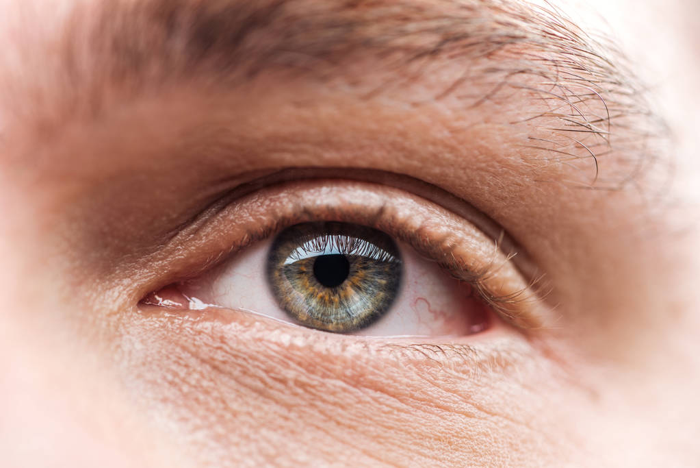 close up view of adult man eye with eyelashes and eyebrow looking away - Photo, Image