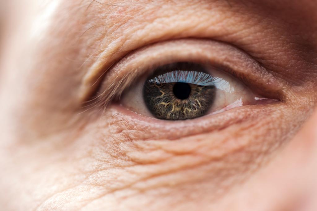close up view of senior man eye with eyelashes and eyebrow looking at camera - Photo, Image