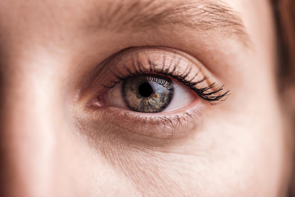 vista de cerca de la mujer joven ojo gris con pestañas y cejas mirando a la cámara
 - Foto, Imagen
