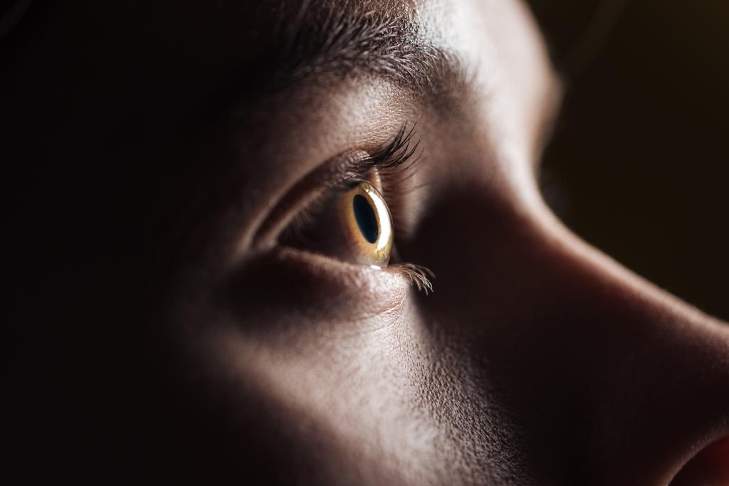 vista de cerca del ojo de mujer joven con pestañas y cejas mirando hacia otro lado en la oscuridad
 - Foto, imagen