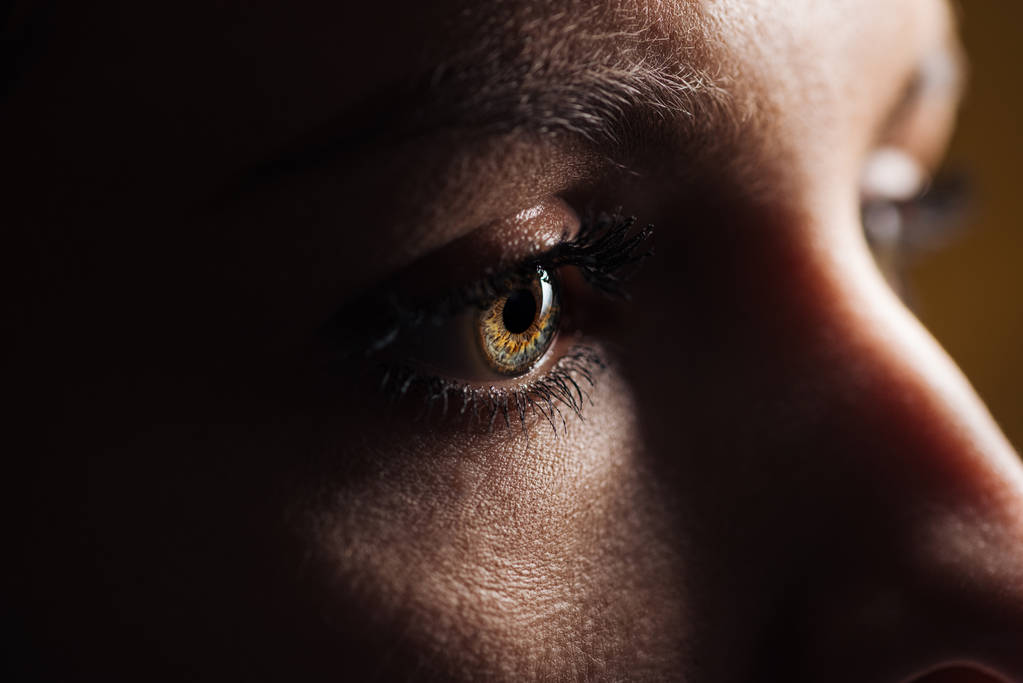 Nahaufnahme des erwachsenen Frauenauges mit Wimpern und Augenbrauen, die im Dunkeln wegschauen - Foto, Bild