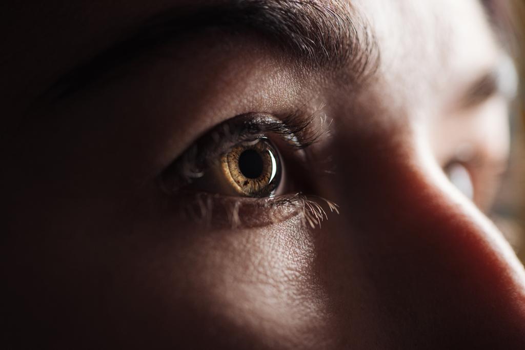 крупный план глаза взрослой женщины с веками и бровями, отводящими взгляд в темноте
 - Фото, изображение